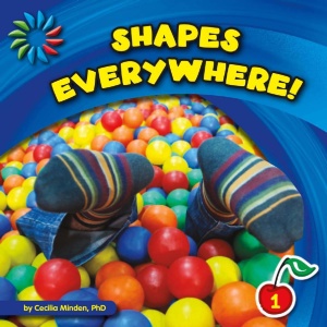 shapes everywhere